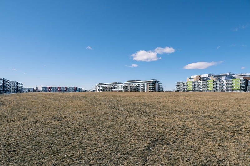 Park and green space in Seton, Calgary