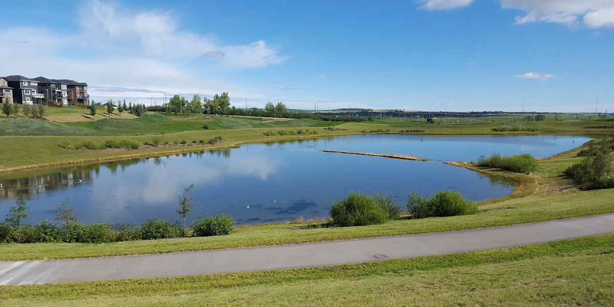 Nolan Hill pond in NW Calgary